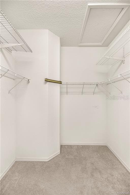 1328 DIAMOND SHORE LOOP — photo 36 of 88