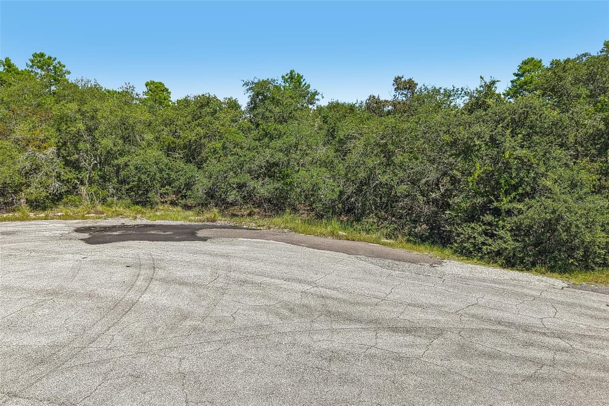 1249 ALAFIA WAY — photo 8 of 9