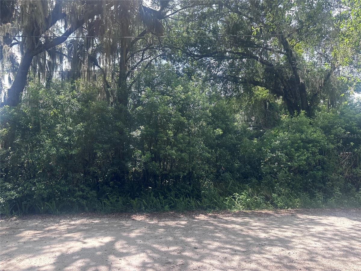 1622 PALM STREET — photo 3 of 16
