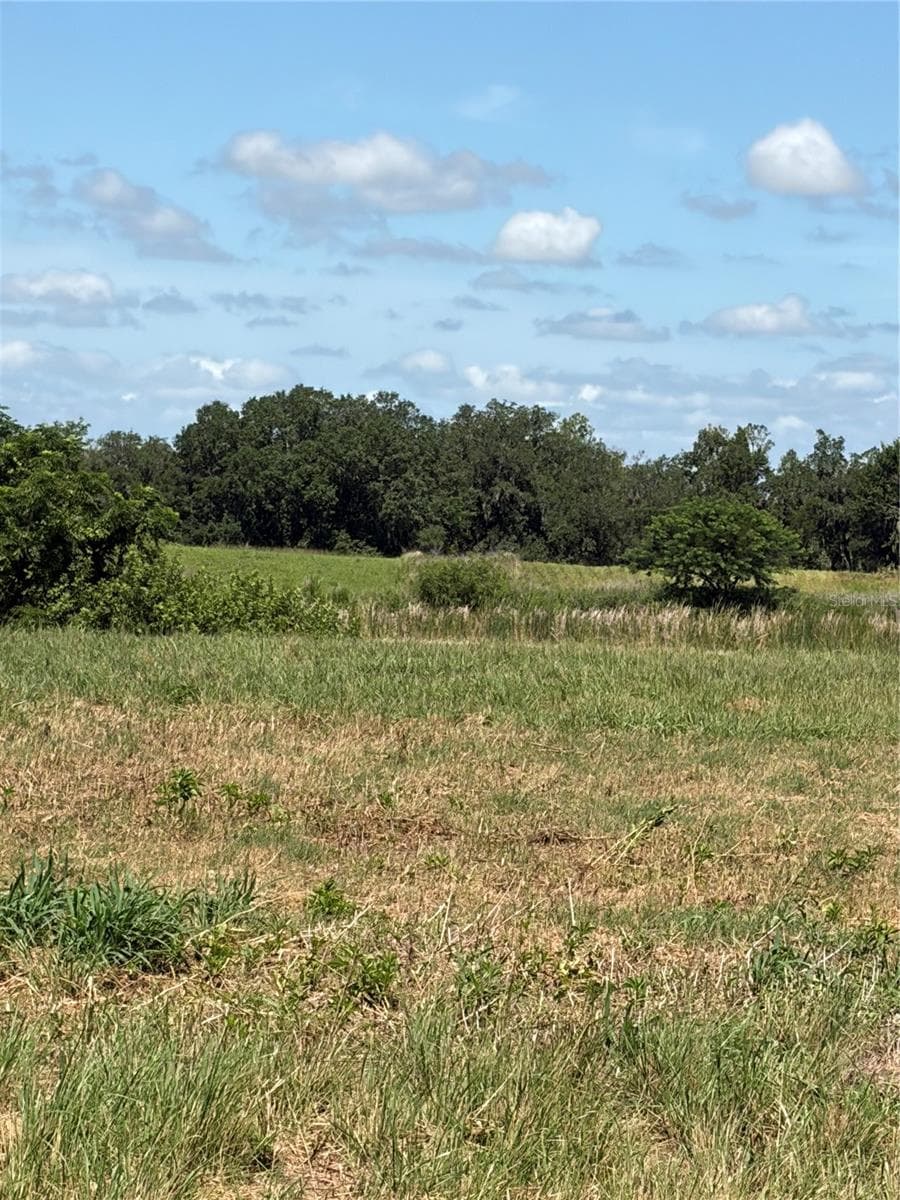 10349 COUNTY ROAD 555 — photo 9 of 27