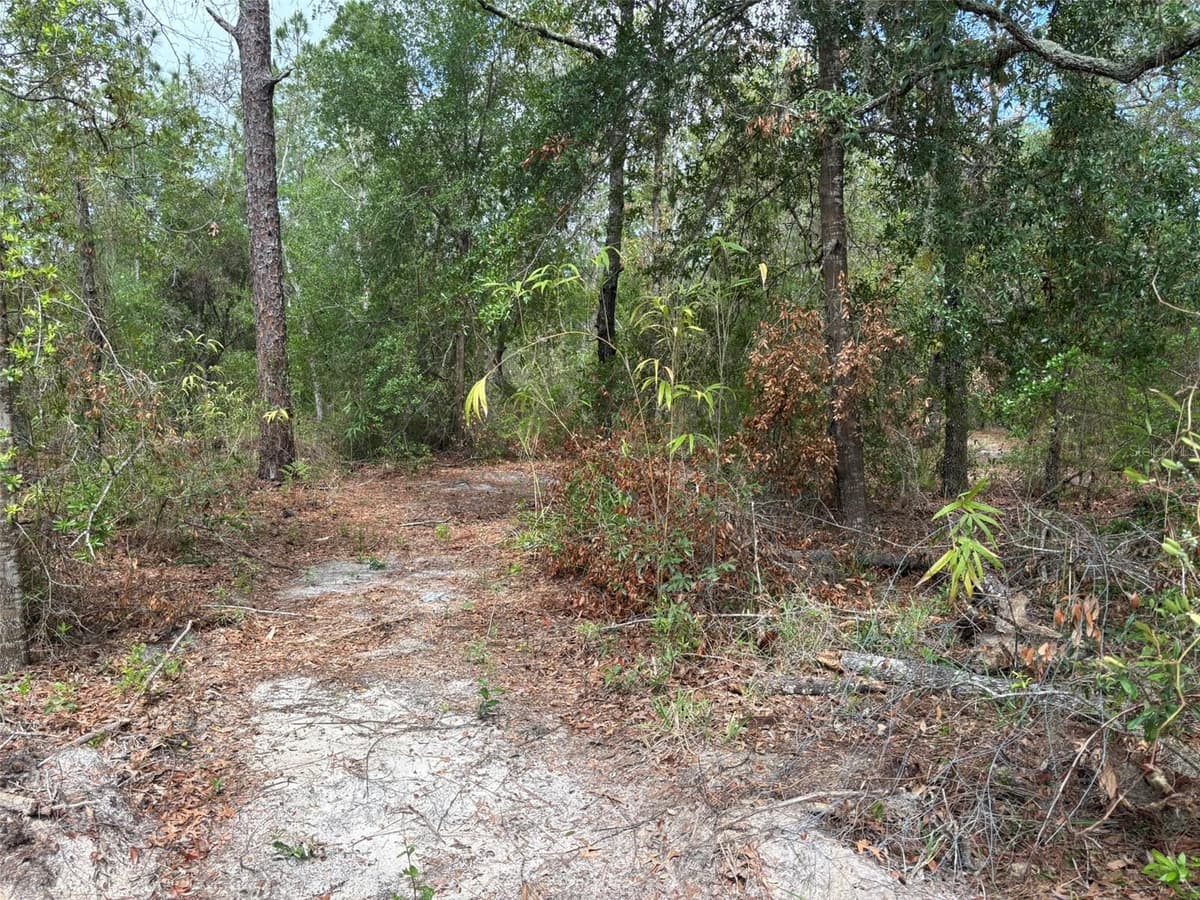 18379 THOMAS BOULEVARD — photo 3 of 6