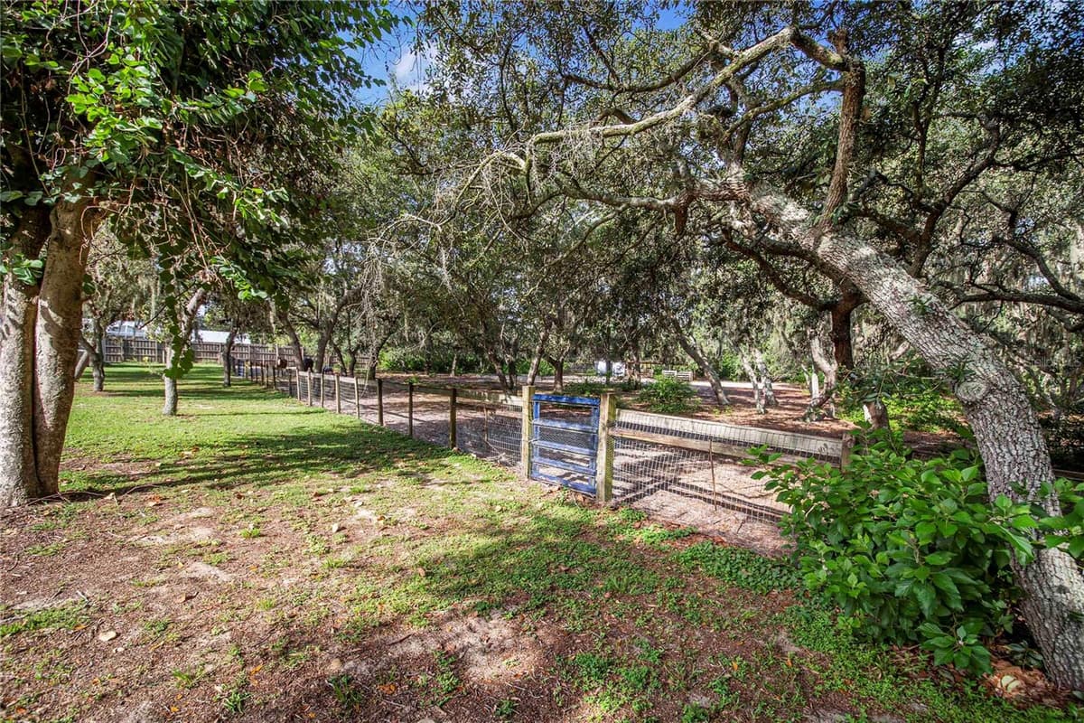 10740 JIM EDWARDS ROAD — photo 42 of 67
