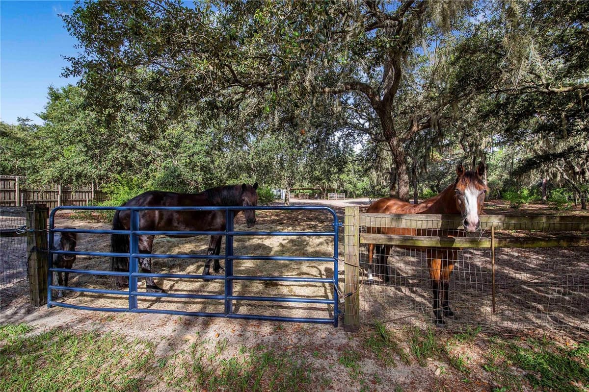 10740 JIM EDWARDS ROAD — photo 40 of 67
