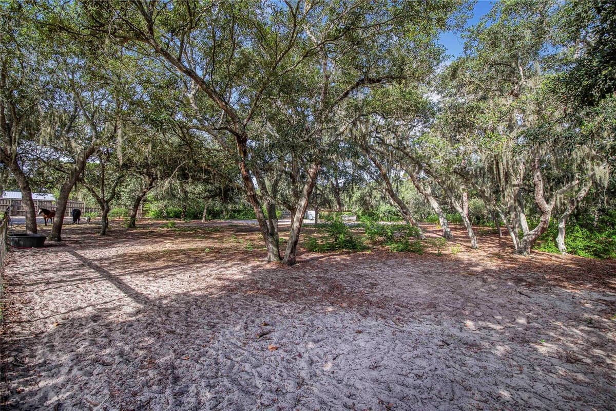 10740 JIM EDWARDS ROAD — photo 43 of 67