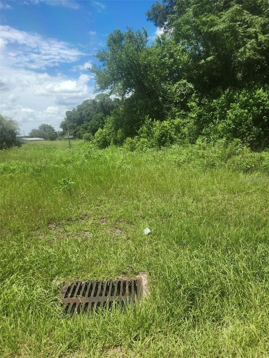 Corner 142ND PLACE & S US HWY 301 — photo 7 of 26