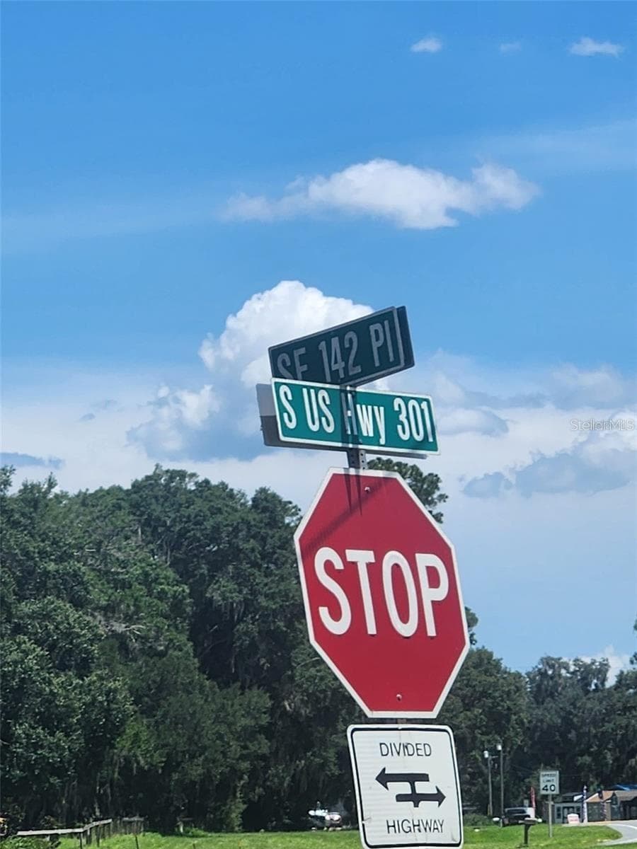 Corner 142ND PLACE & S US HWY 301 — photo 25 of 26