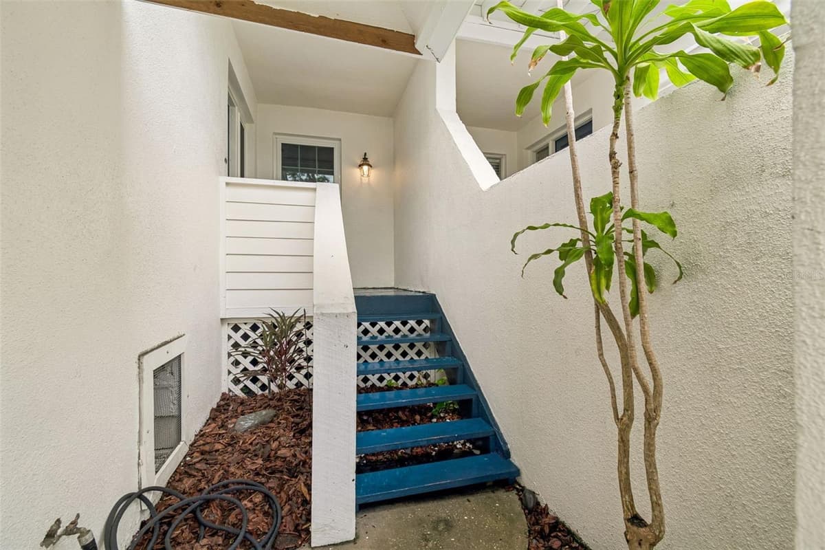5203 BAYSHORE BOULEVARD — photo 49 of 50