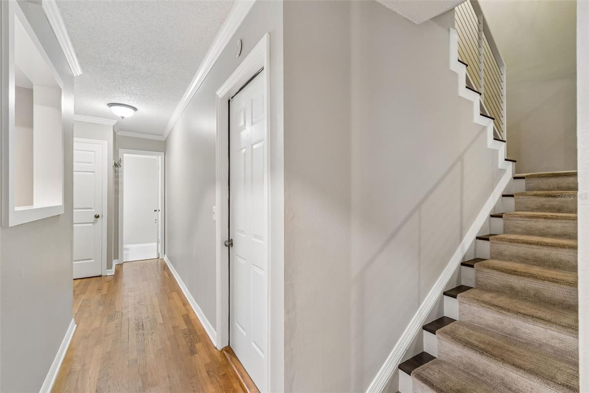 5203 BAYSHORE BOULEVARD — photo 4 of 50