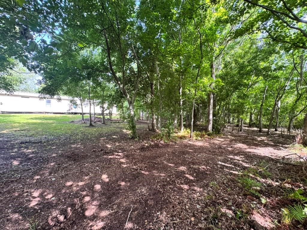3904 CORK ROAD — photo 7 of 14