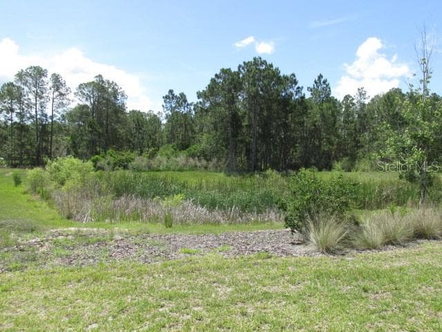 1275 BUTTERFLY ORCHID ROAD — photo 35 of 36