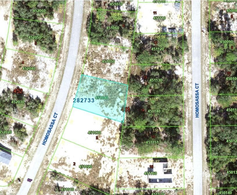 1342 HOMOSASSA COURT — photo 6 of 6