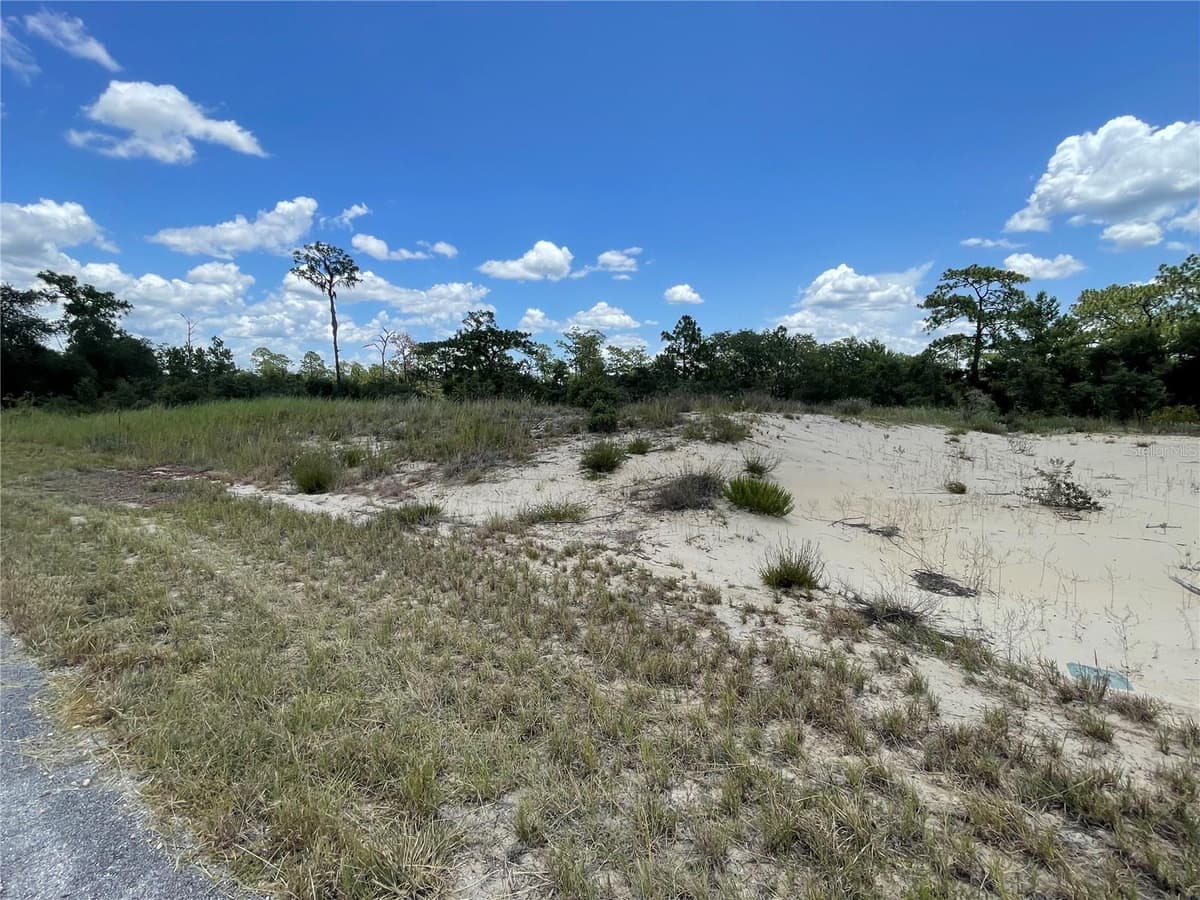 1342 HOMOSASSA COURT — photo 3 of 6