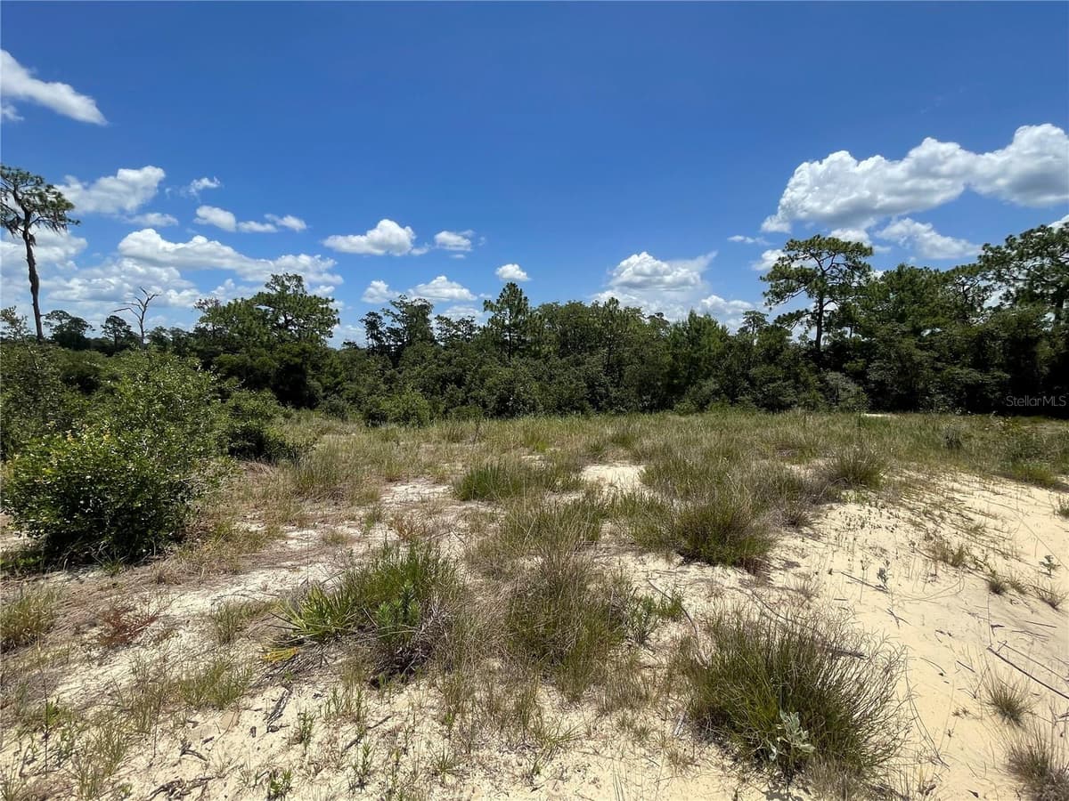 1342 HOMOSASSA COURT — photo 4 of 6