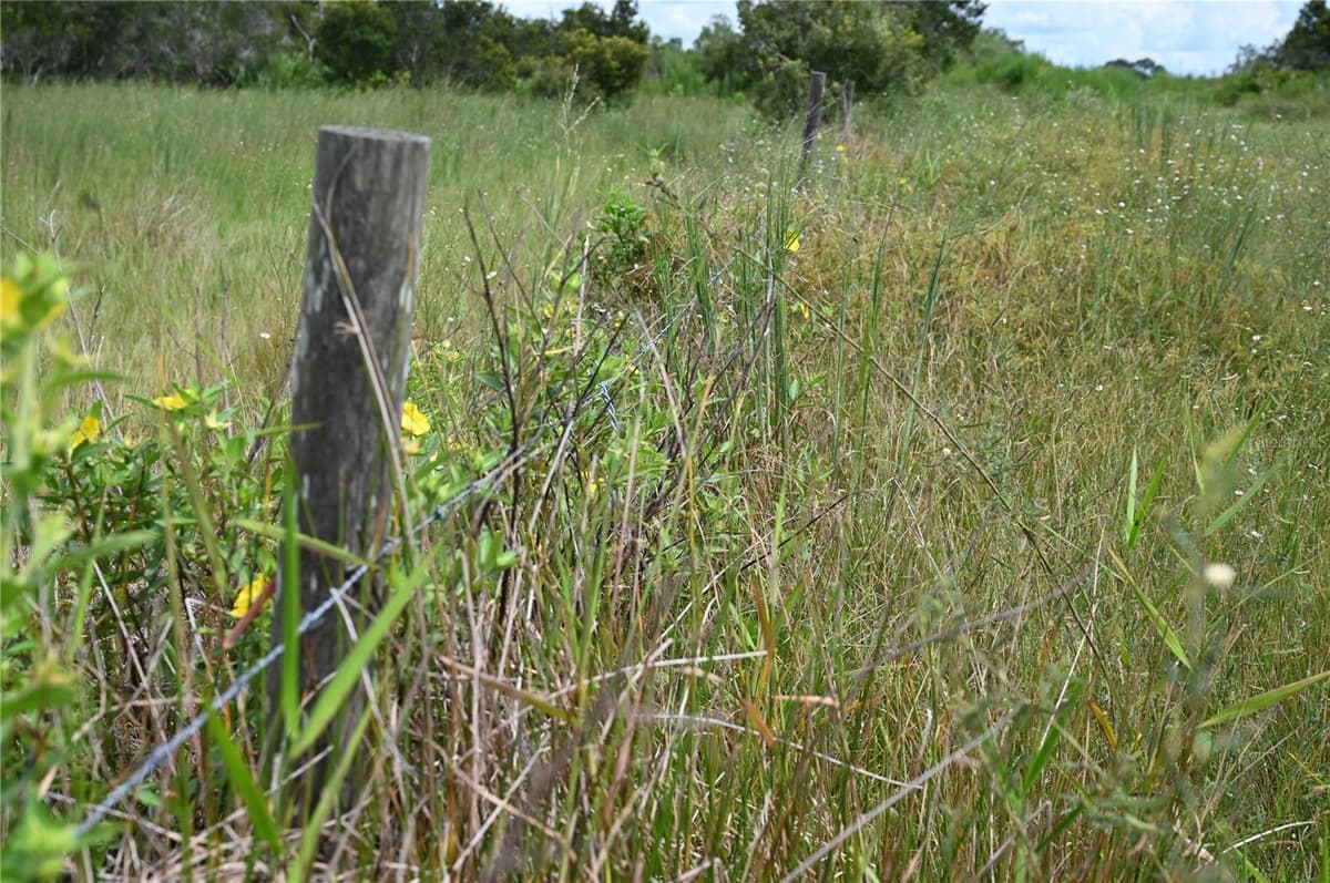 COUNTY LINE ROAD — photo 13 of 25