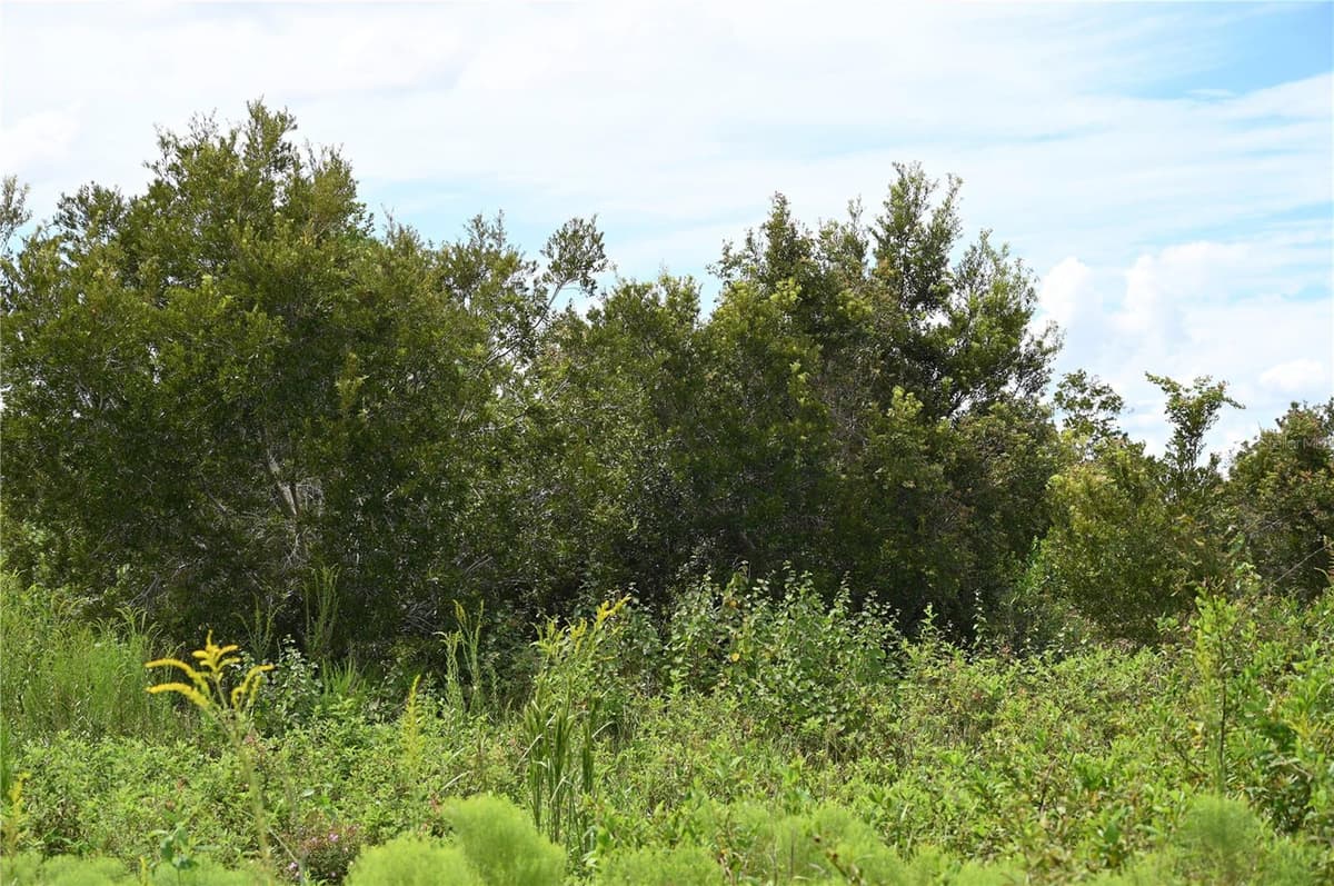 COUNTY LINE ROAD — photo 11 of 25