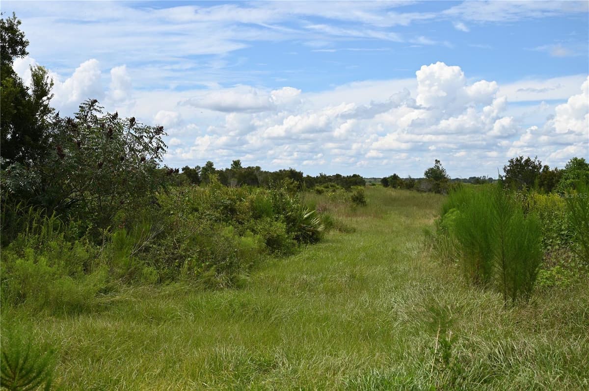 COUNTY LINE ROAD — photo 16 of 25