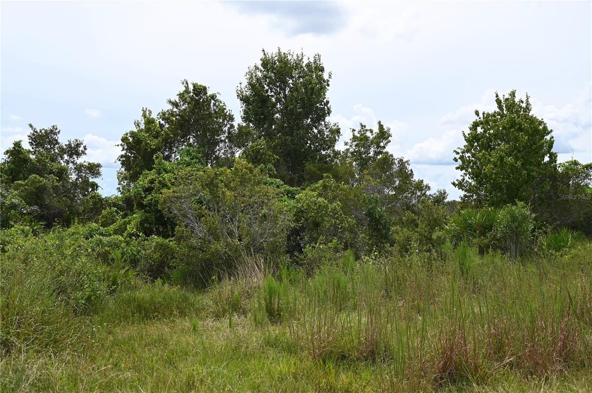 COUNTY LINE ROAD — photo 17 of 25