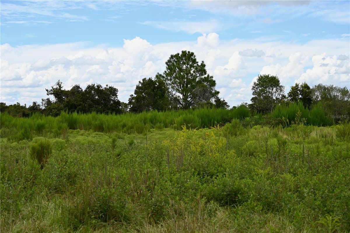 COUNTY LINE ROAD — photo 22 of 25