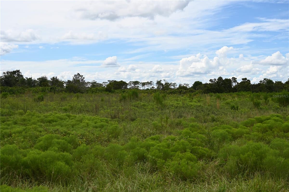 COUNTY LINE ROAD — photo 10 of 25