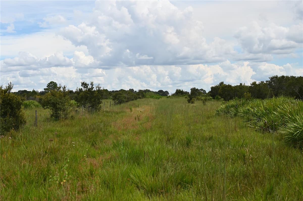 COUNTY LINE ROAD — photo 24 of 25