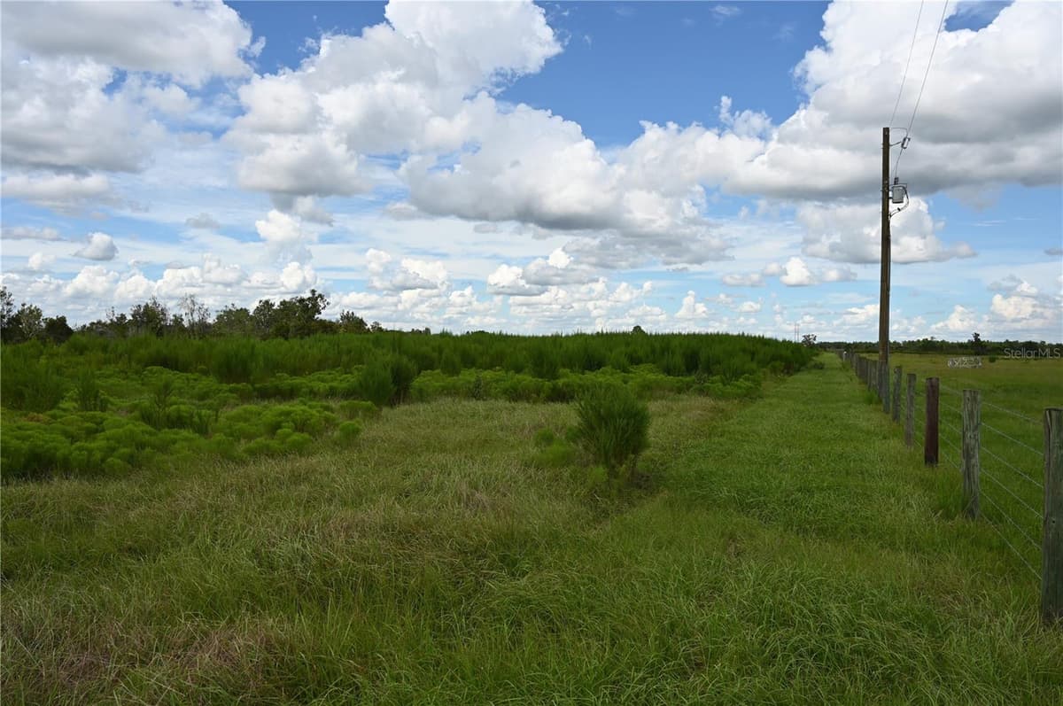 COUNTY LINE ROAD — photo 8 of 25