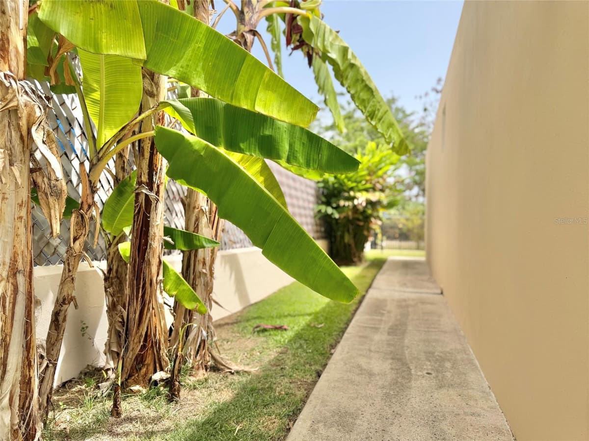 33 CALLE DIEGO SALCEDO — photo 49 of 60