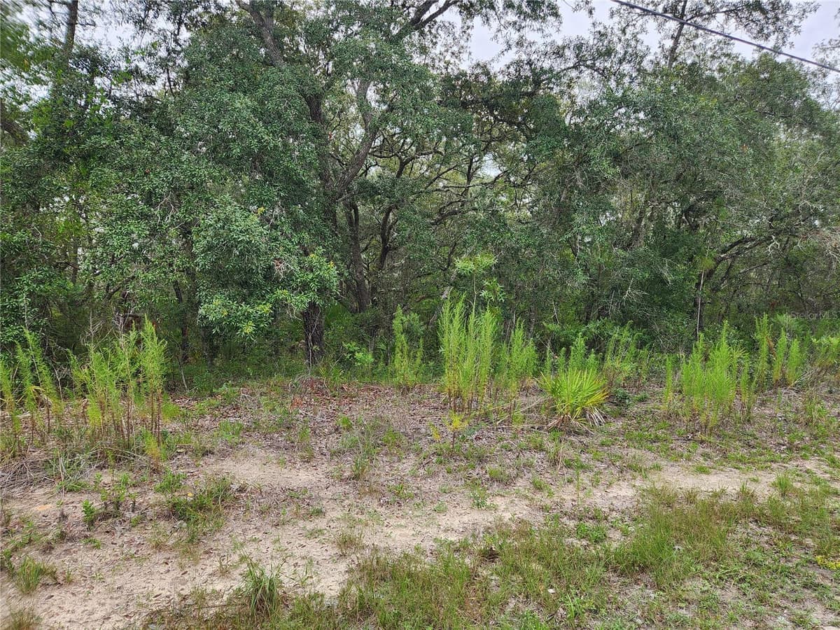 18364 PARAKEET ROAD — photo 3 of 7