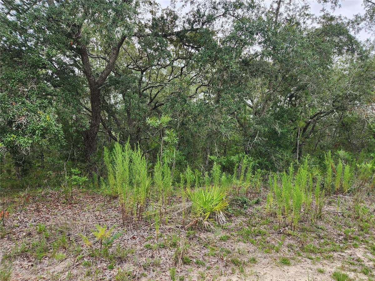 18364 PARAKEET ROAD — photo 6 of 7