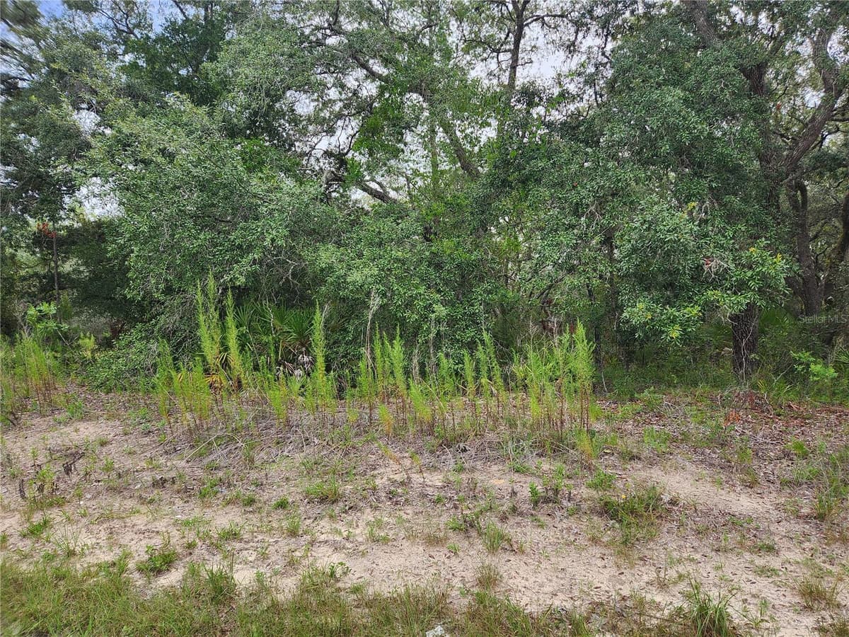 18364 PARAKEET ROAD — photo 2 of 7