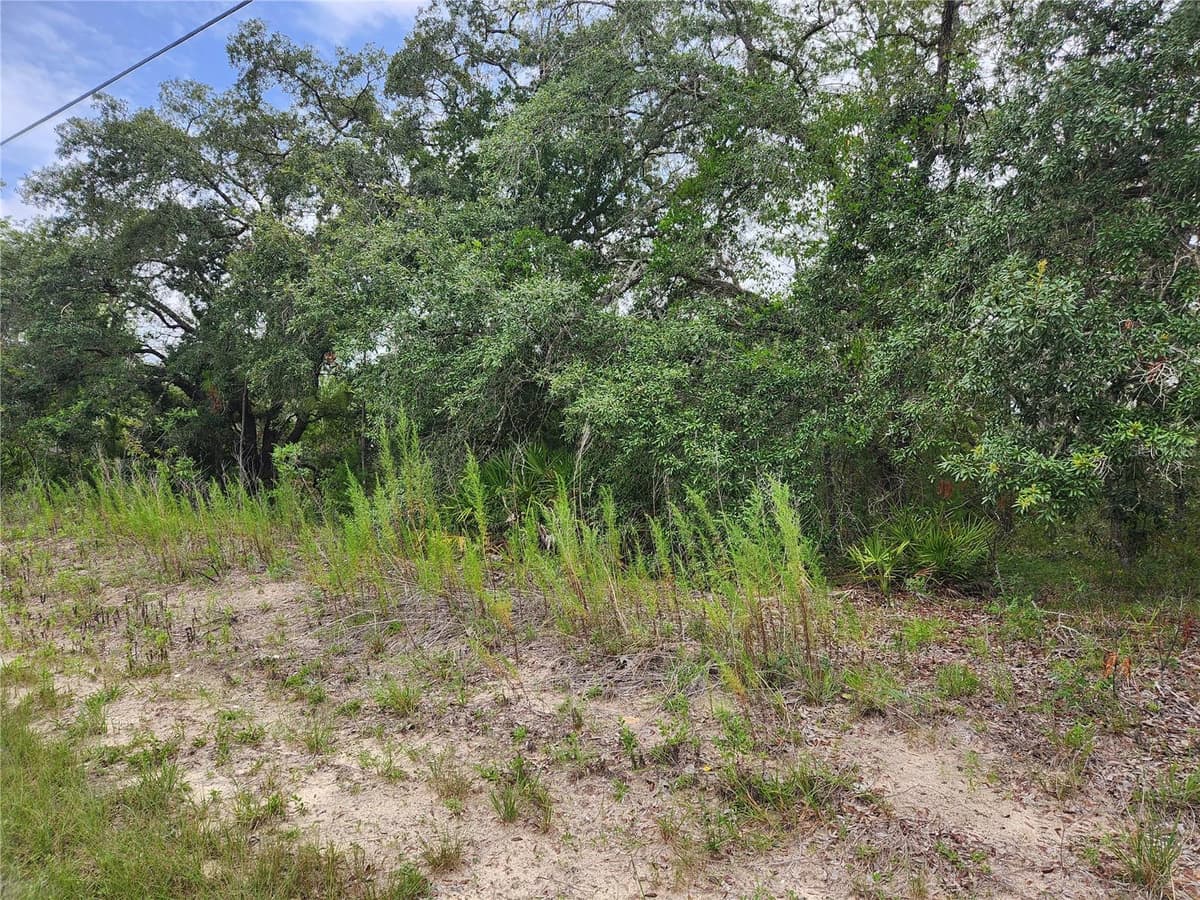 18364 PARAKEET ROAD — photo 5 of 7