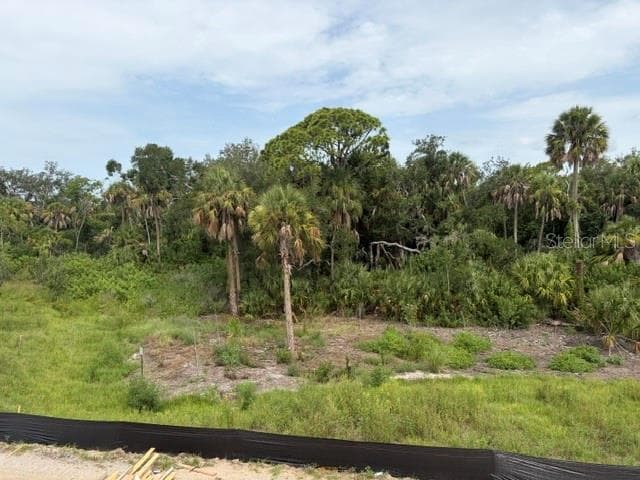 9927 HIDDEN HAMMOCK LOOP — photo 25 of 32