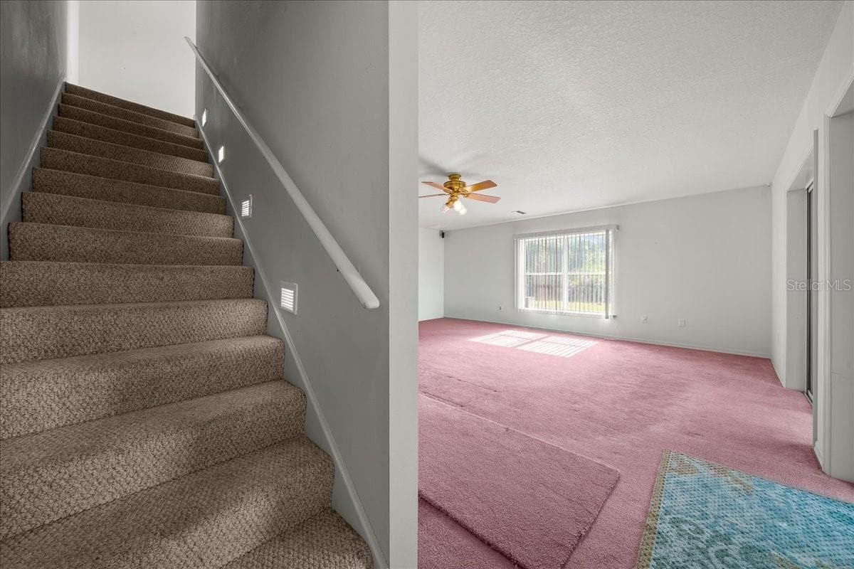 206 MALAUKA RADIAL — photo 40 of 80