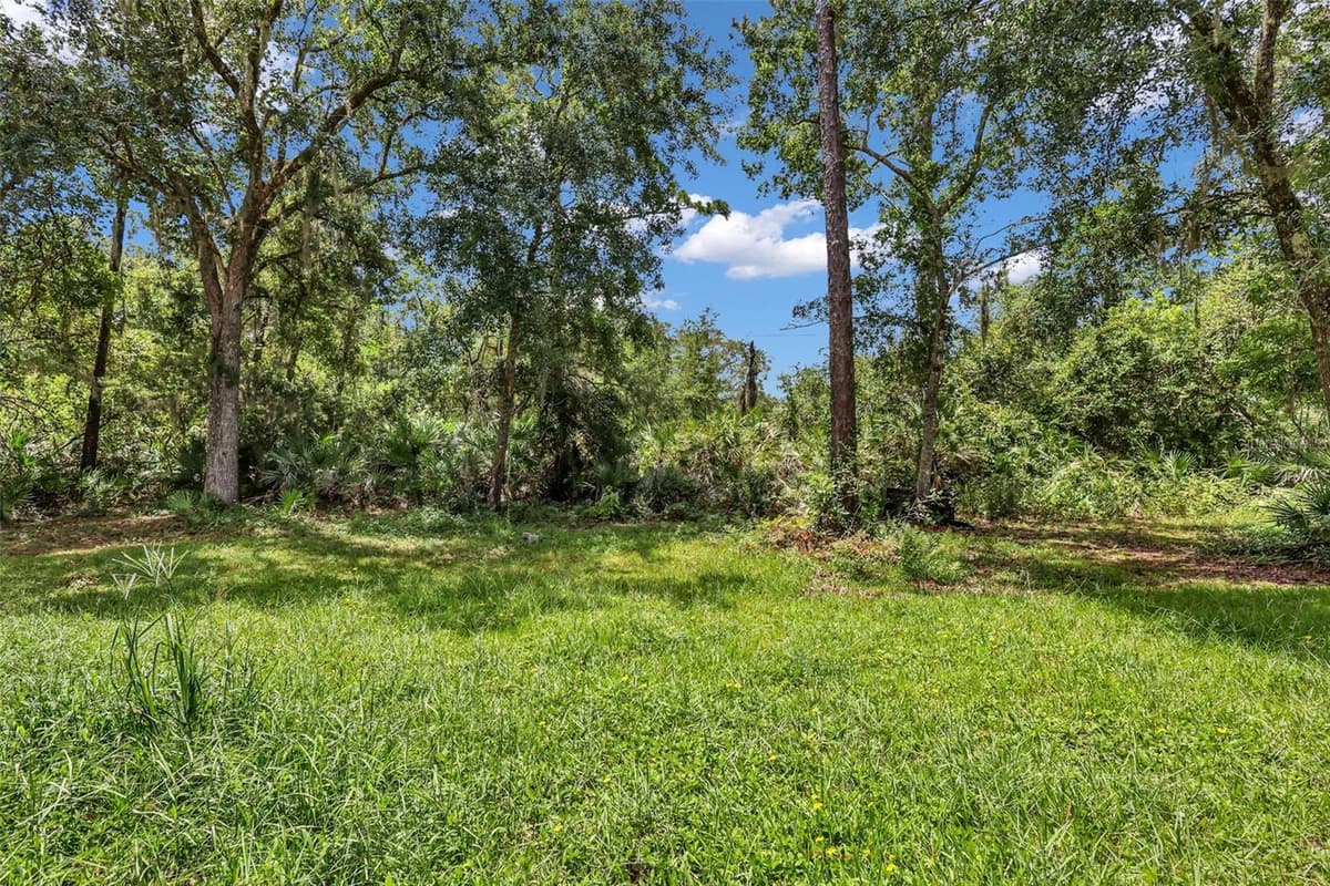 24003 SISLER AVENUE — photo 4 of 68