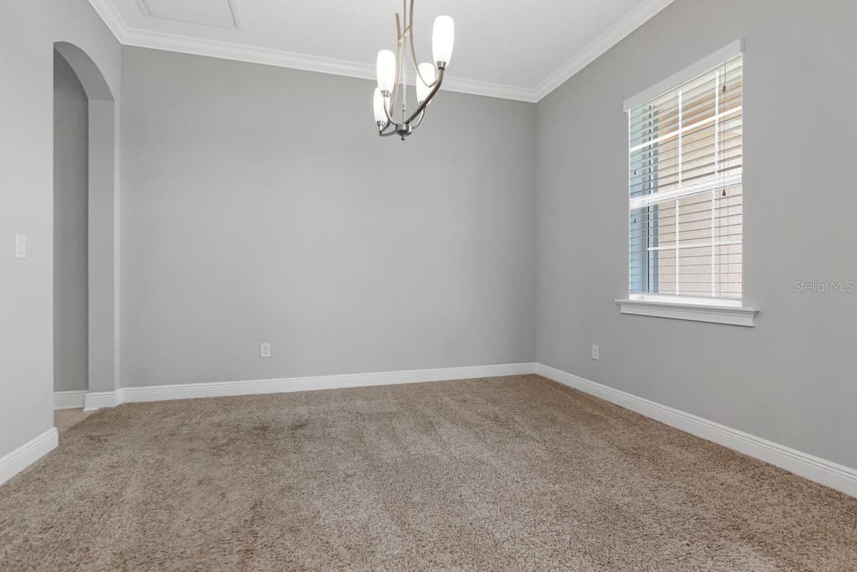 8703 ALAFIA HILLS DRIVE — photo 12 of 99