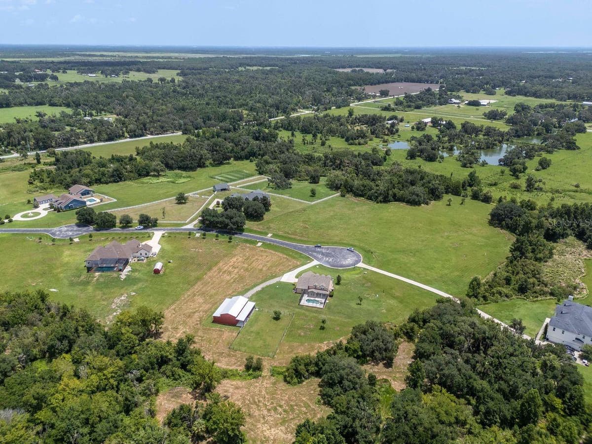 8703 ALAFIA HILLS DRIVE — photo 94 of 99