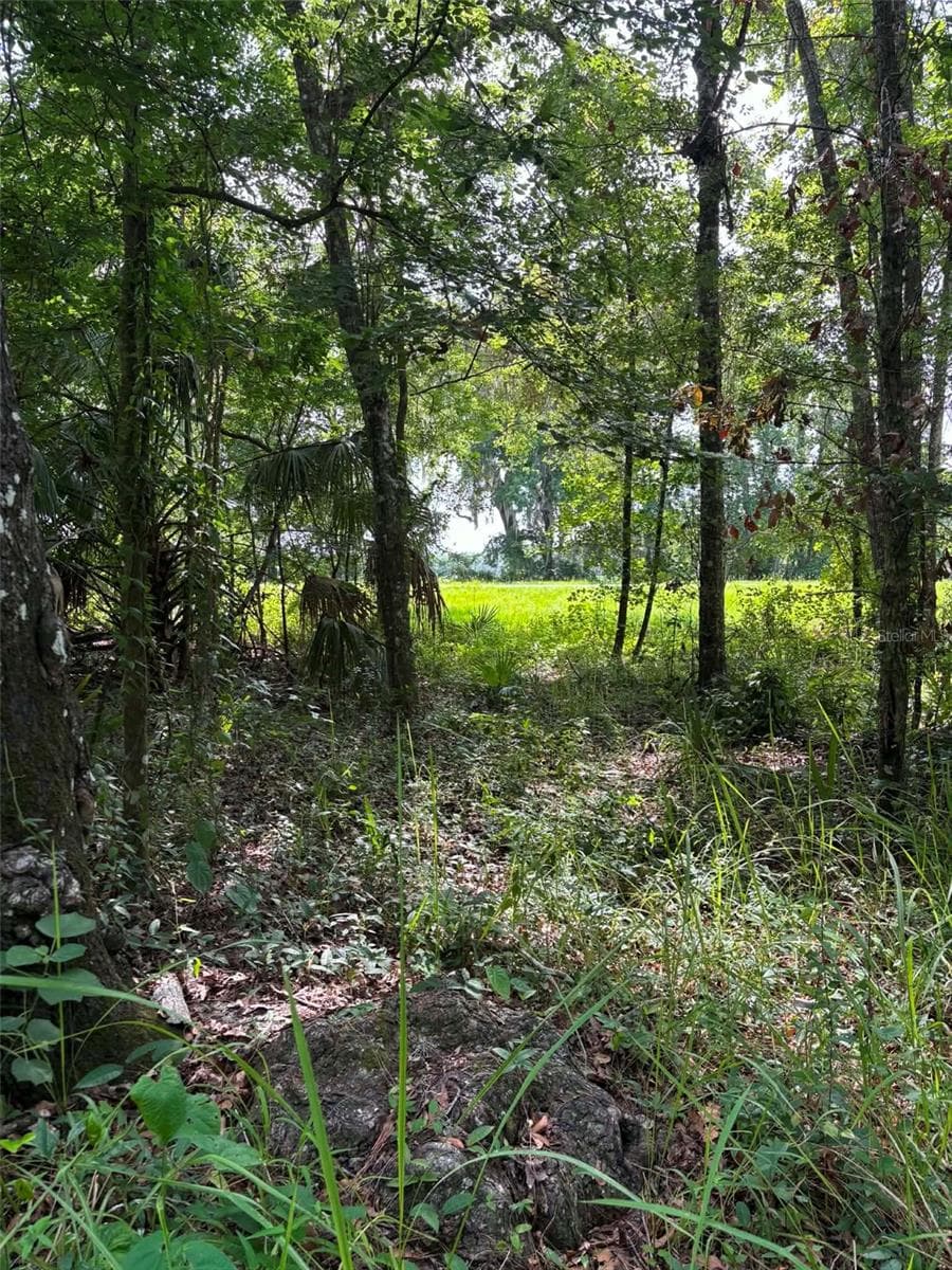 12168 PONCE DE LEON BOULEVARD — photo 1 of 6
