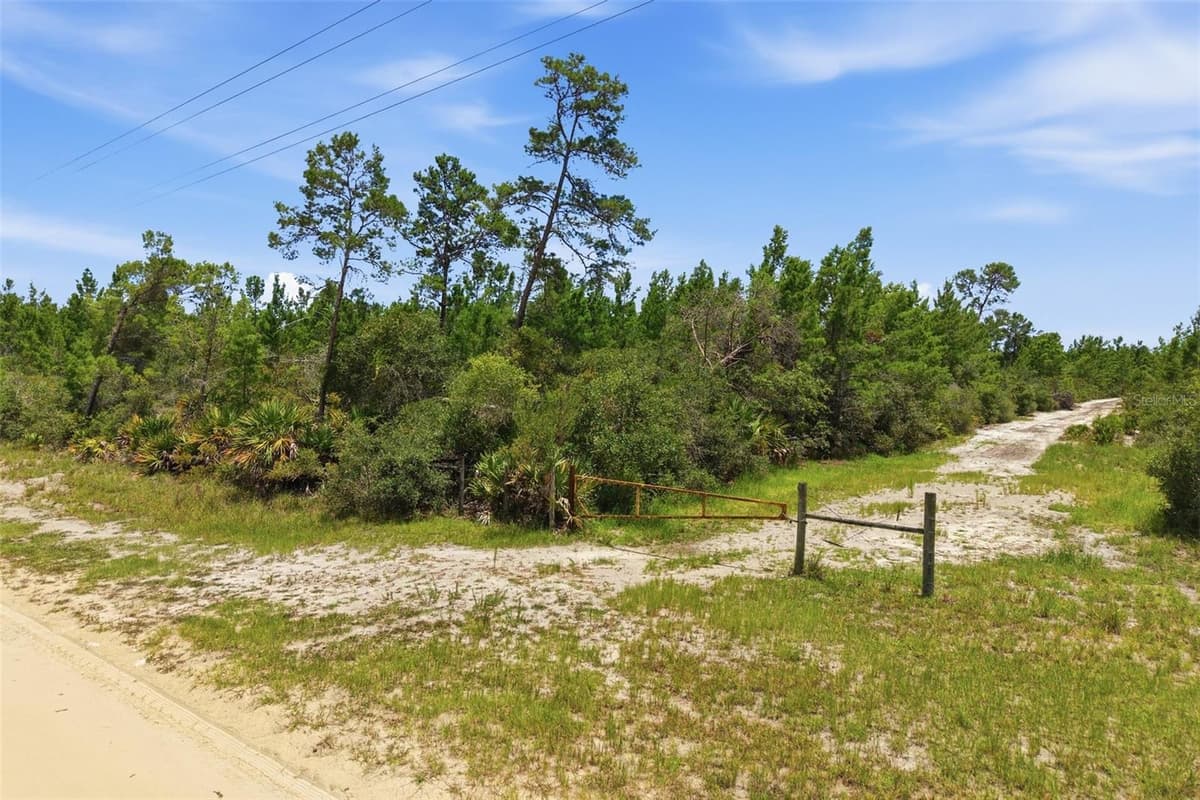 LOT 70 MAGGIE JONES ROAD ROAD — photo 3 of 10