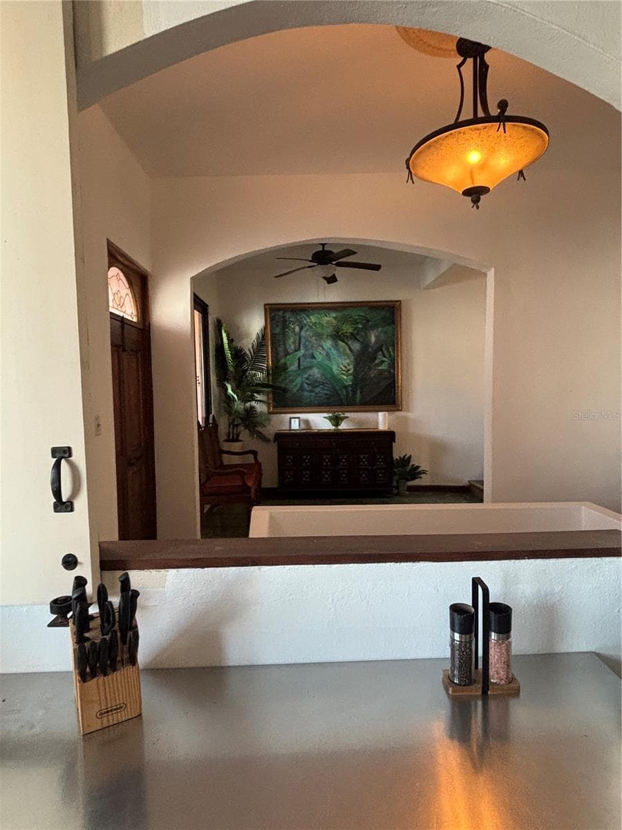 456 CALLE SALDAÑA — photo 42 of 98