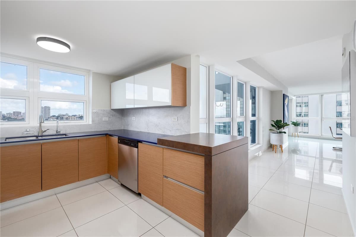 48 LUIS MUNOZ MARIN AVE AQUABLUE COND. — photo 8 of 18