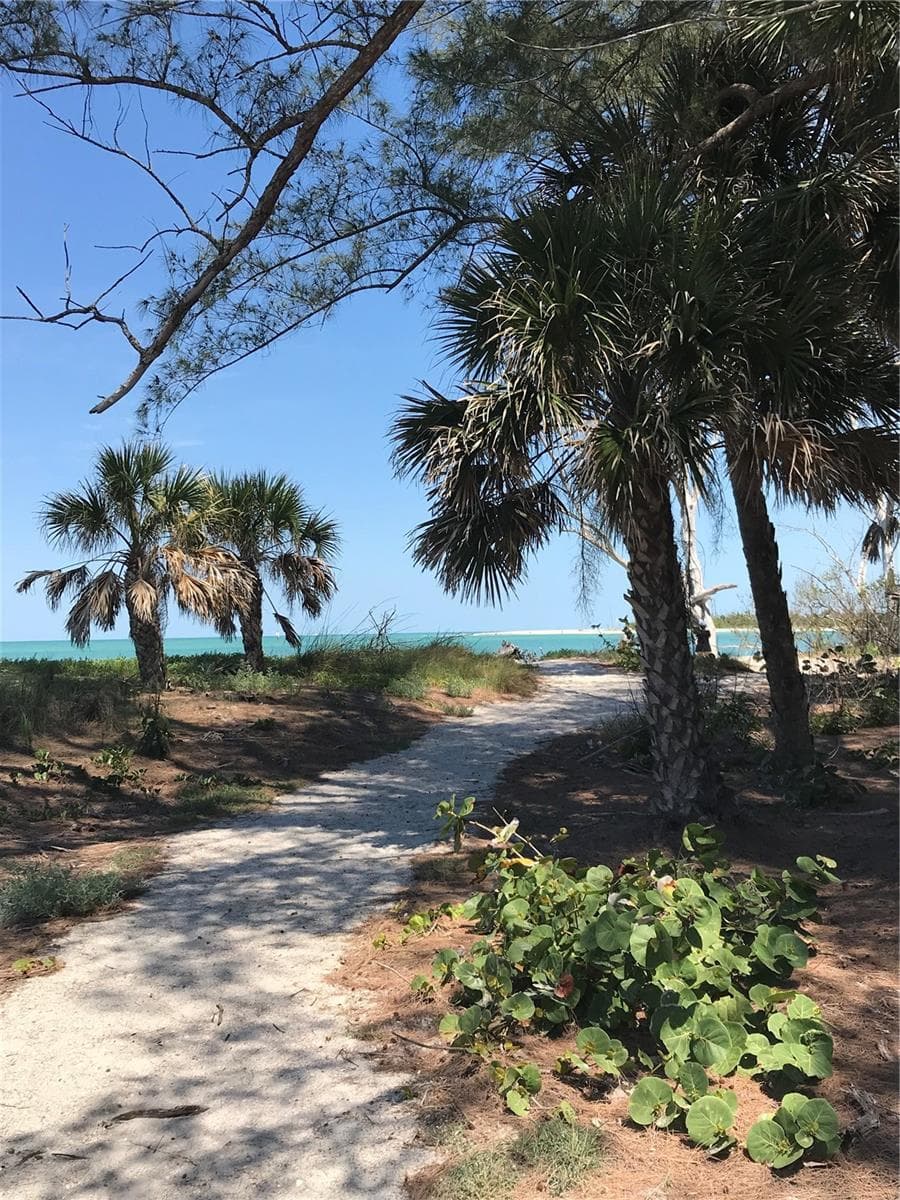 7365 PALM ISLAND DRIVE — photo 39 of 45