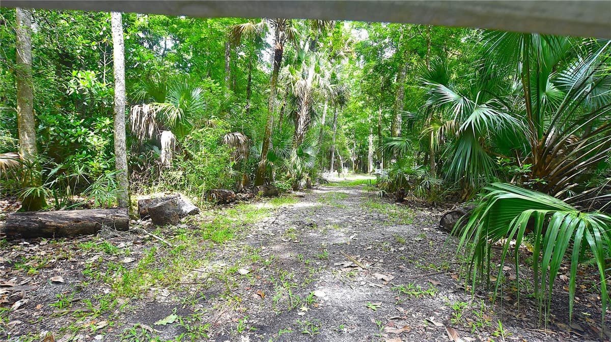VOLCO ROAD — photo 23 of 23