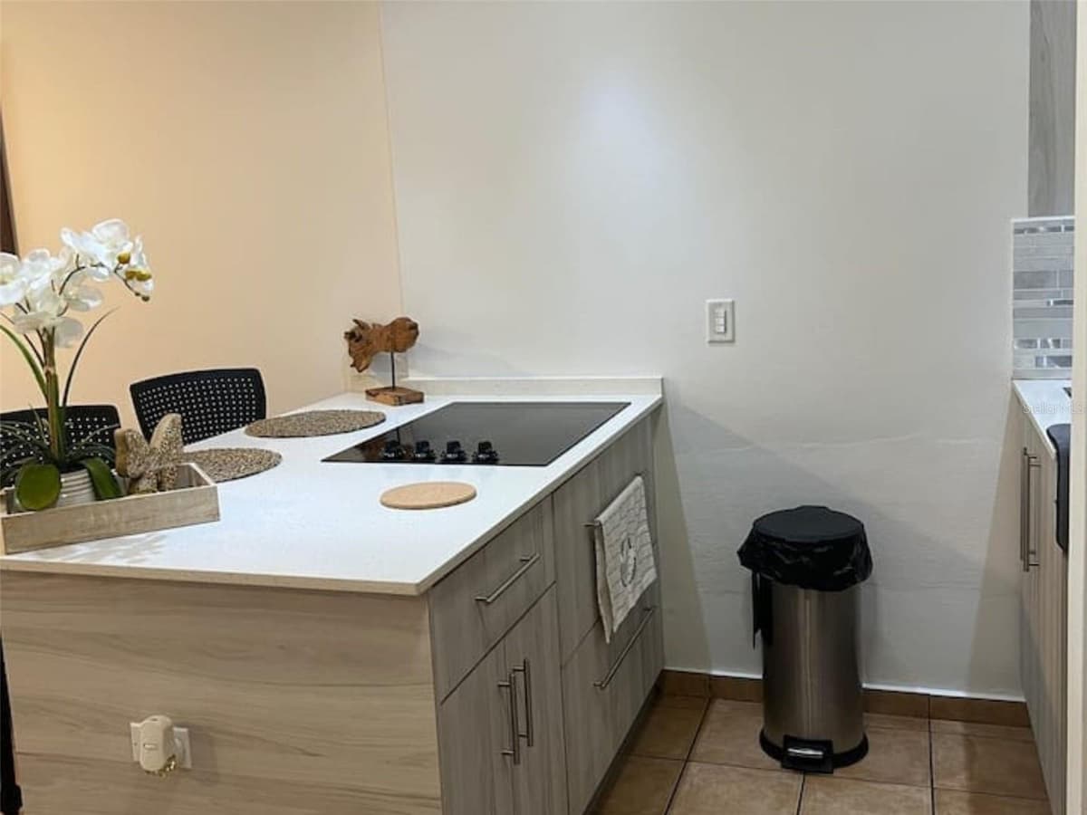 1479 ASHFORD AVE. CONDO. CONDADO DEL MAR — photo 4 of 27
