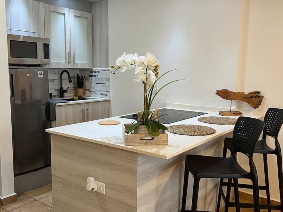 1479 ASHFORD AVE. CONDO. CONDADO DEL MAR — photo 2 of 27
