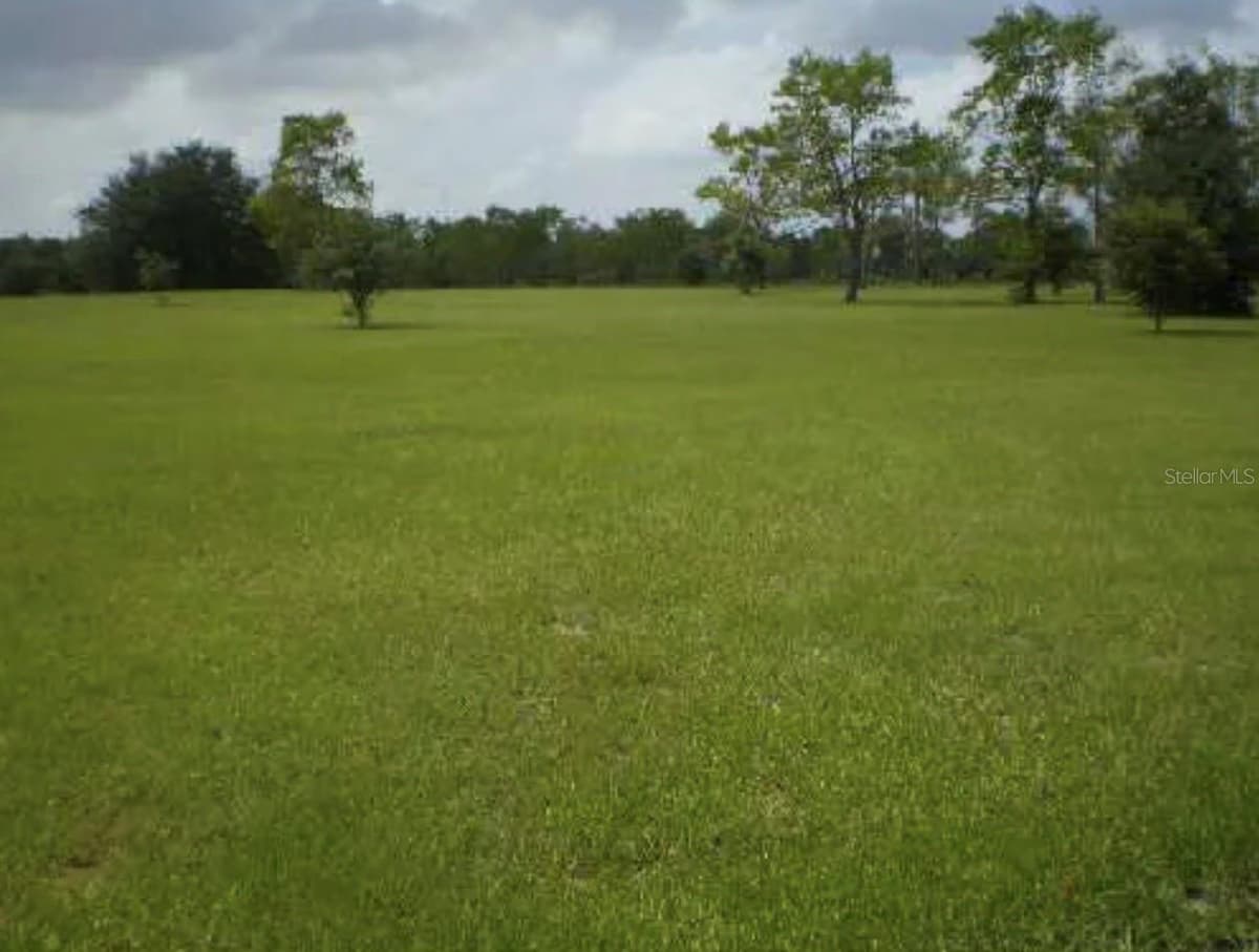 25429 SHETLAND TRAIL — photo 1 of 1