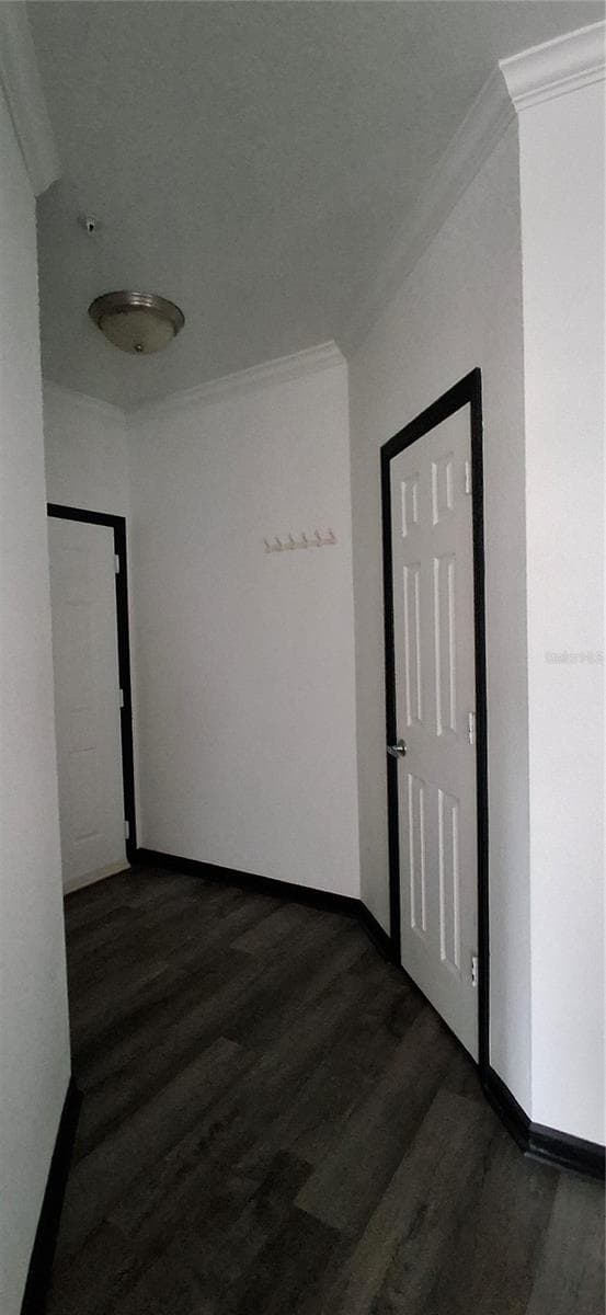8539 GATE PARKWAY — photo 14 of 25