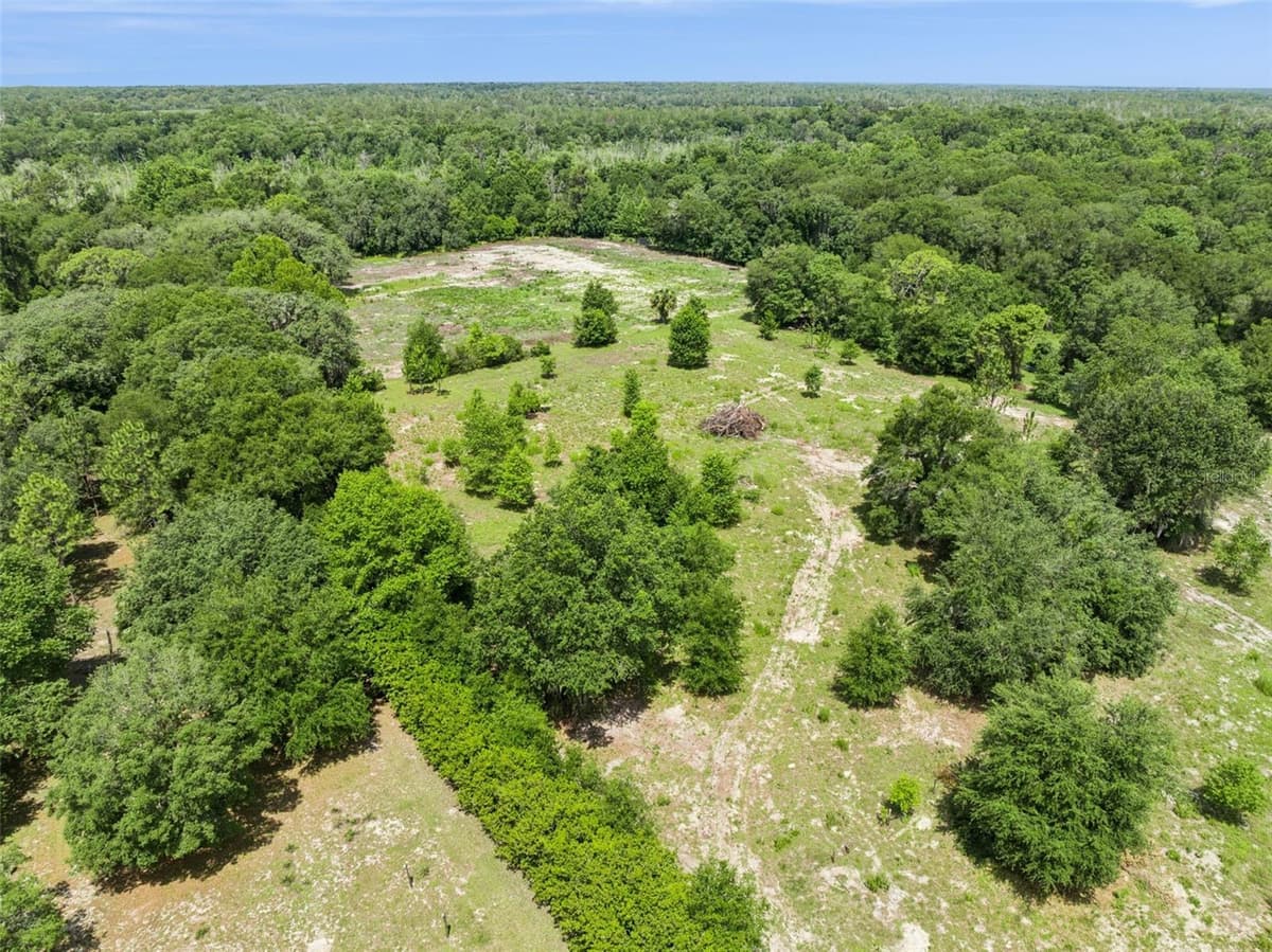 2040 HOLLY HAMMOCK ROAD — photo 10 of 15
