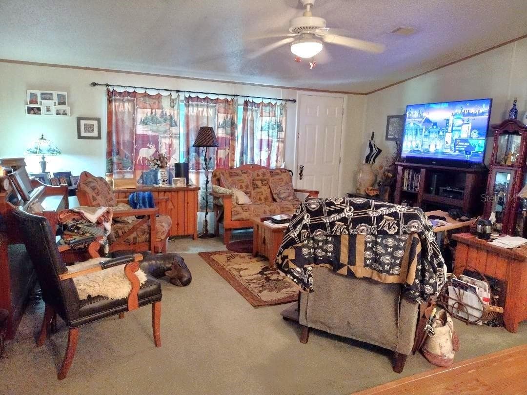 1176 COUNTY ROAD 305 — photo 2 of 22