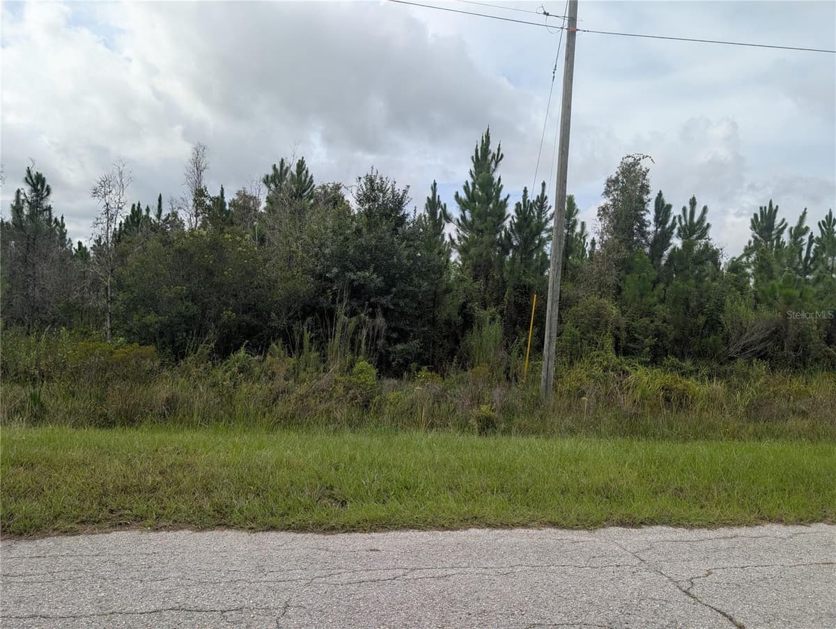 MEADOWLARK BOULEVARD — photo 4 of 46