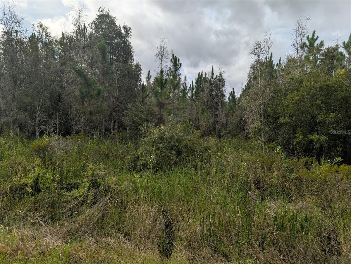 MEADOWLARK BOULEVARD — photo 1 of 46