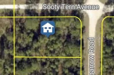 SOOTY TERN AVENUE — photo 1 of 3